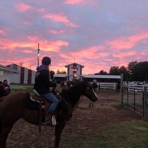 Meet your Posher, Alaina